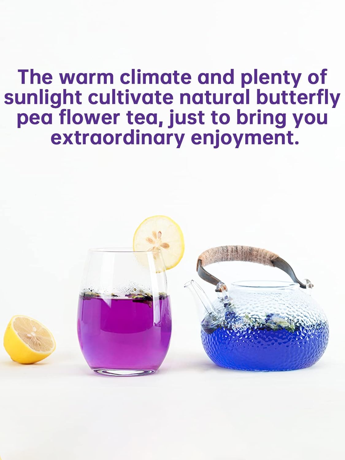 Butterfly Pea Flower Tea