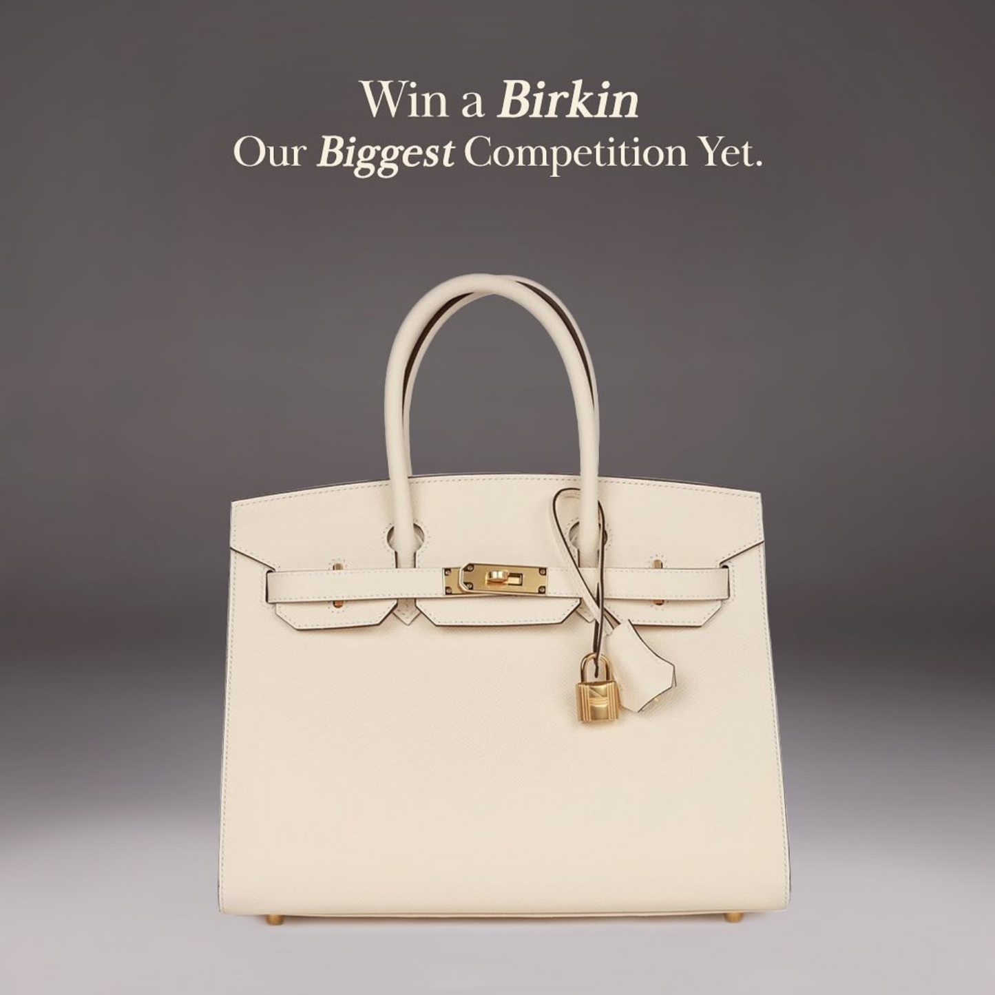 Birkin Bag Competition