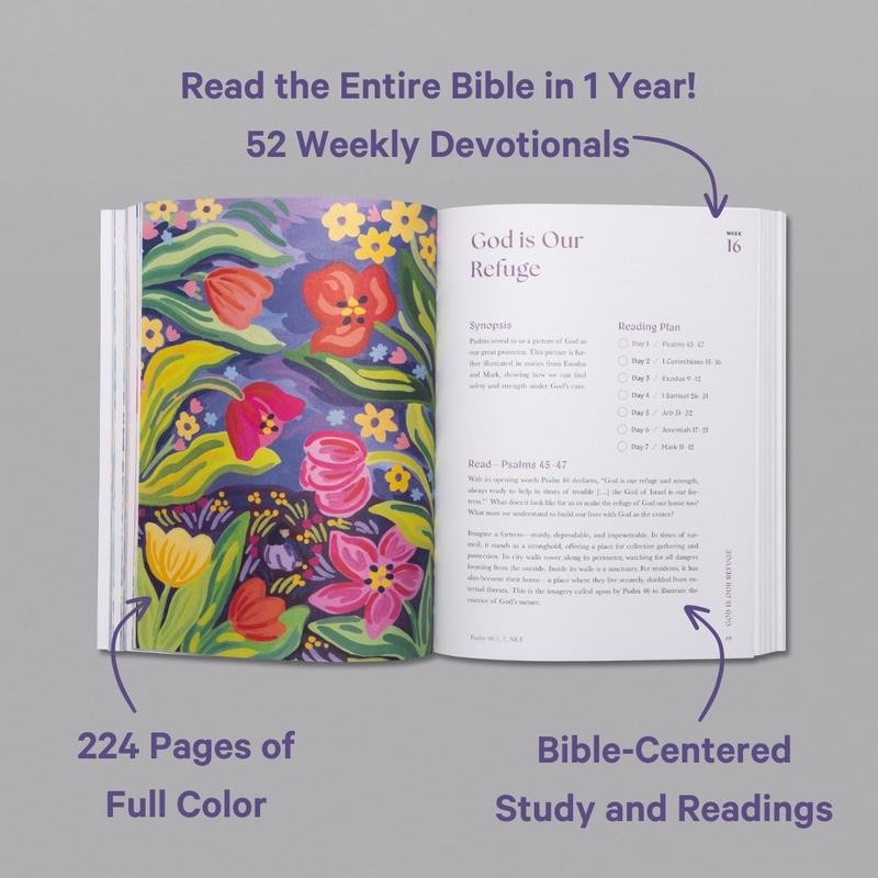 A Beautiful Year In The Bible: The 52-Week Bible Study for Women (Soft Cover)