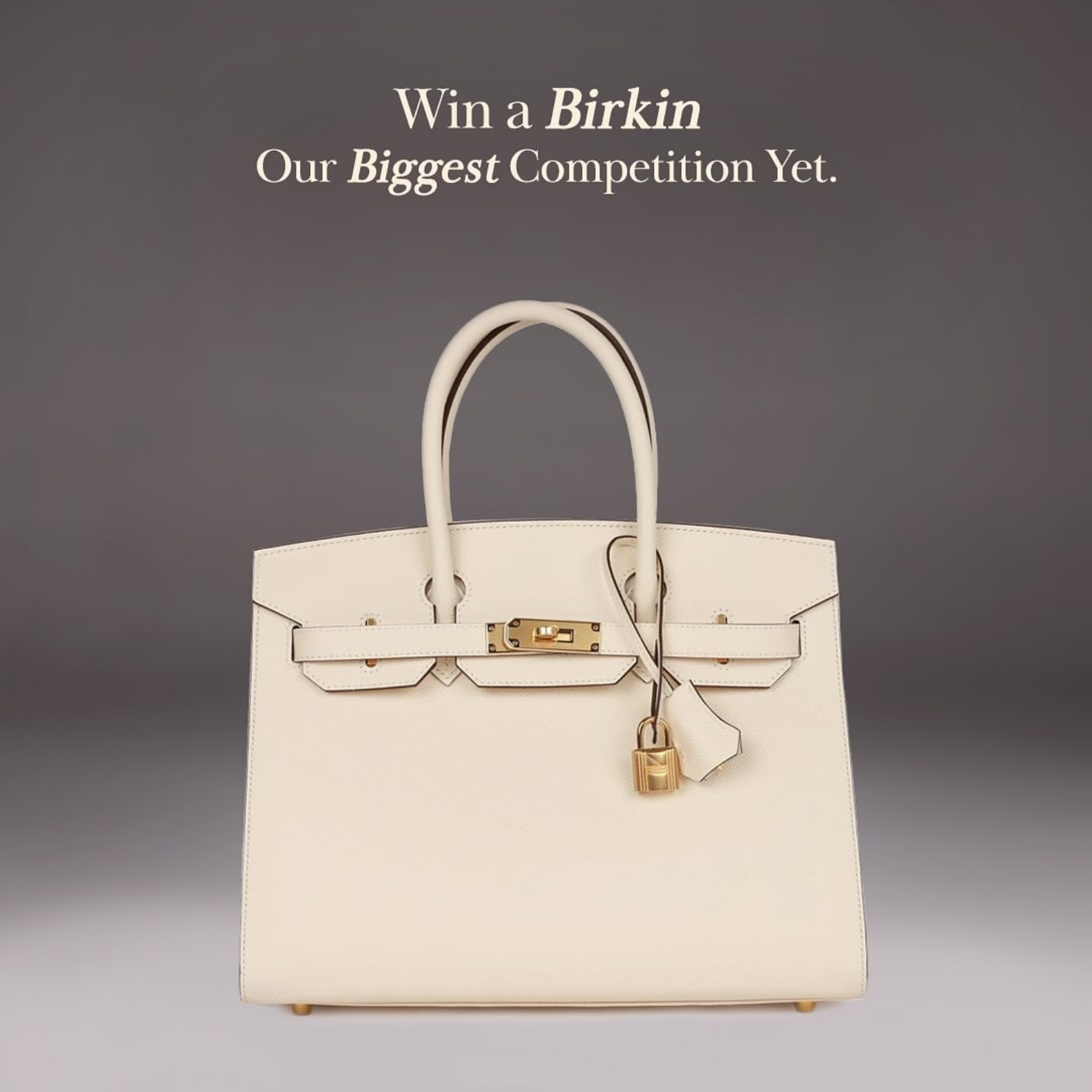 Birkin Bag Competition